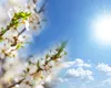 Prognoza meteo 23 aprilie 2025. Vremea va fi instabilă în mai multe zone ale țării