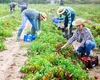 Categoriile de angajați români care pot beneficia de rambursarea parțială a impozitului pe venit. Ce condiții trebuie să îndeplinească pentru a primi banii înapoi