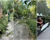 Dezastru la Grădina Zoologică București și în Parcul Cișmigiu după furtuna de joi. Accesul vizitatorilor la zoo, interzis pentru trei zile