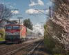 CFR Călători, fără buget după 257 de zile. Sindicaliștii avertizează: „Trenurile se vor opri”
