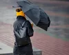 Vreme rece, ploi și ninsori la munte: România traversează o săptămână instabilă înainte de încălzire