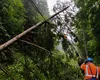 Circulația trenurilor în zona București Nord, afectată de întreruperea alimentării cu energie a liniei de contact