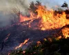 Grecia, în alertă portocalie: Peste 60 de incendii au izbucnit în ultimele 24 de ore în toată țara