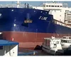 O navă cargo sub pavilion Panama a lovit pontoane și ambarcațiuni în Portul Tulcea