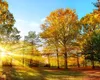 Cum va fi vremea în septembrie și la început de octombrie. Unde se anunță temperaturi peste normal
