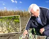 Cifre alarmante anunțate de Petre Daea: „Cea mai slabă recoltă de porumb din ultimii 15 ani, în 2022″