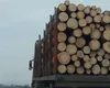 Ungaria ar putea interzice exportul de lemn de foc, după ce Ucraina a întrerupt livrarea de petrol rusesc prin conducta Drujba