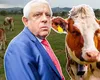 Petre Daea a răbufnit la Bruxelles! Ministrul Agriculturii vrea mai multe „bălţate” şi mai puţini urşi şi oferă bani frumoşi pentru fiecare cap de vacă din fermele românilor