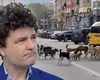 Nicuşor Dan, despre mitingul profesorilor: „Eu am autorizat toate protestele care au fost solicitate, inclusiv cele împotriva mea”. Ce spune de un nou mandat