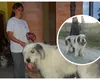 Detalii cutremurătoare despre românca moartă în zăpadă. „Câinii mei îmi ţin de cald”