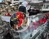 Majoritate câinilor salvatori trimişi de IGSU în Turcia sunt salvaţi de pe stradă: „L-am găsit într-o cutie în faţa unui service, a fost singurul supravieţuitor”