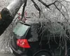 Viscolul face ravagii. Copac căzut peste o maşină în mers, un copil este în stare critică