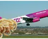 FOTO! Mesajul viral de la Wizz Air pentru românii care merg în Anglia cu ȘORICI în avion! Compania low-cost s-a confruntat cu o problemă șocantă pentru lumea civilizată și le-a dat un mail de „kind reminder” tuturor pasagerilor!
