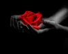 Horoscop dragoste iunie 2023. Planeta iubirii, Venus, se muta in stralucitorul Leu. Ce aduce in amor zodiilor?