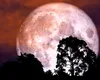 Lună plină căpșunie în Săgetător, 4 iunie 2023. De ce este cea mai norocoasă Lună plină a anului