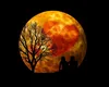 Horoscop WEEKEND 29 septembrie – 1 octombrie 2023. Weekend cu Luna plina in Berbec. Unde se pune punctul pe I?