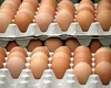 Motivul pentru care ouăle brune vor dispărea de pe rafturile magazinelor. Cu ce vor fi înlocuite