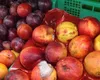 Peste 360 de tone de fructe și legume, retrase temporar de la comercializare. ANPC a dat sancțiuni pentru prezenţa mucegaiului, depozitarea în spaţii pline de praf, cu insecte