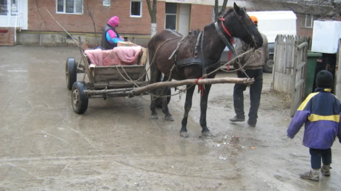 Obicei românesc, amenzi europene, drumuri lipsă