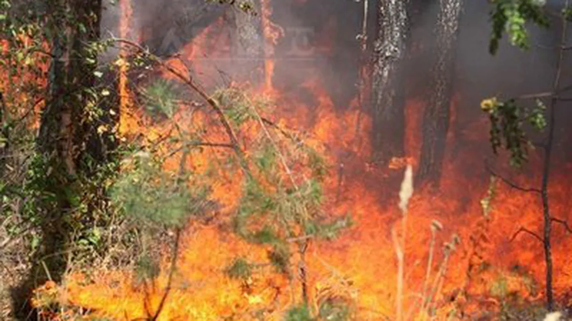 Incendiu în Masivul Bucegi, flăcările au cuprins 5.000 de metri pătraţi de vegetaţie uscată