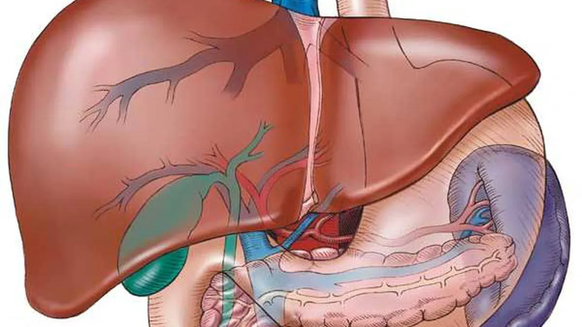 Donatorii de ficat pot avea probleme de sănătate după operaţie