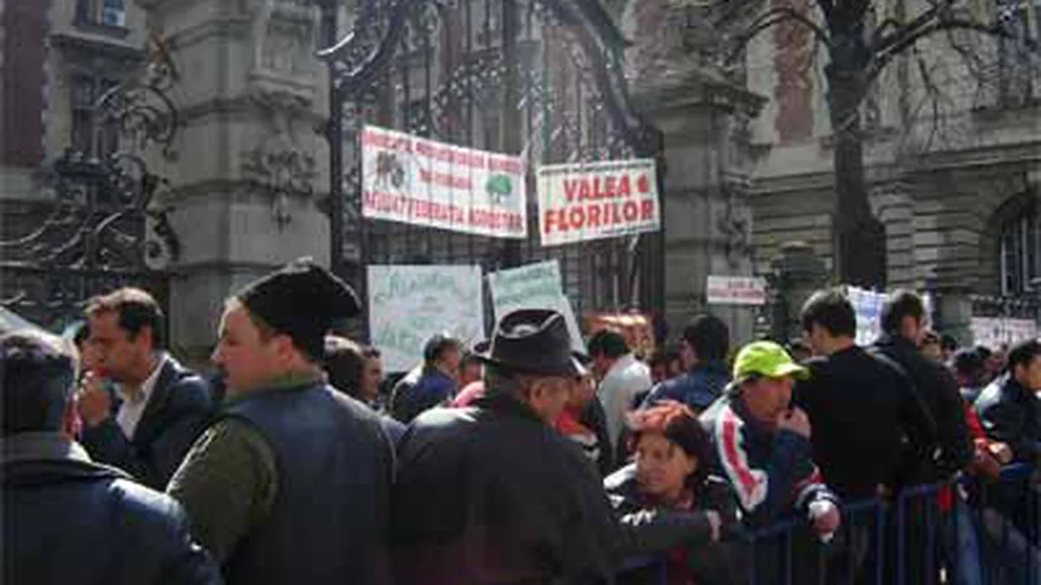 Foamea i-a scos în stradă: Sute de bugetari şi agricultori au protestat în Capitală