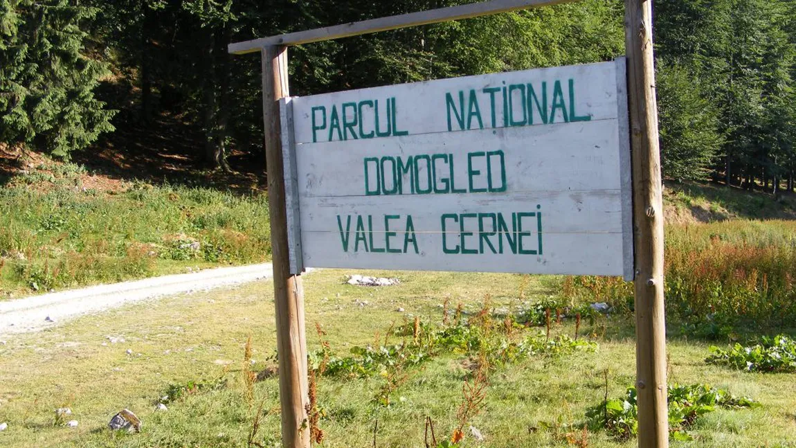 Incendiu de vegetaţie în Parcul Natural Domogled - Valea Cernei