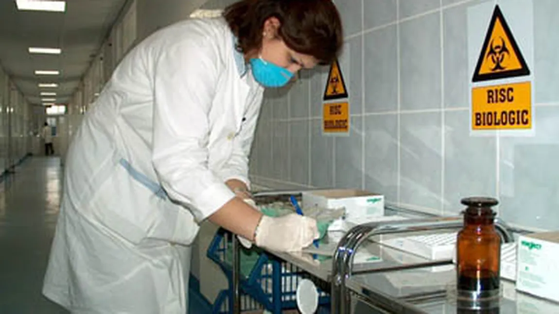 Alarmant: 11.000 de bucureşteni au fost muşcaţi de câini în 2011