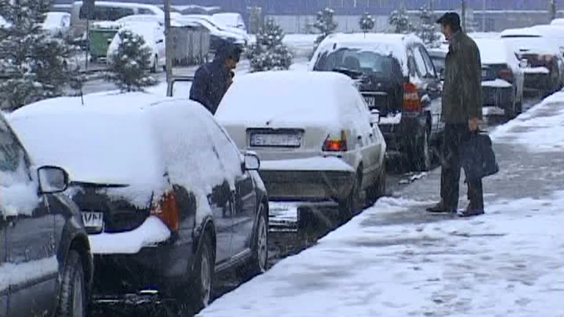 Ninge abundent în Suceava VIDEO