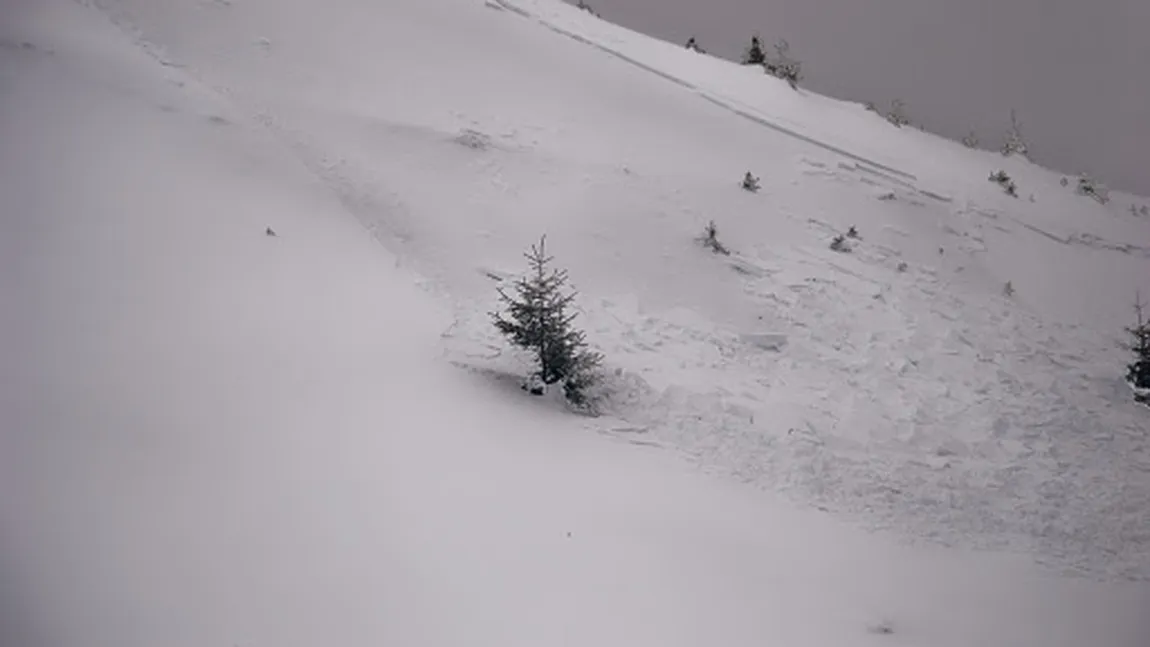 Un drum judeţean din Alba, blocat de o avalanşă