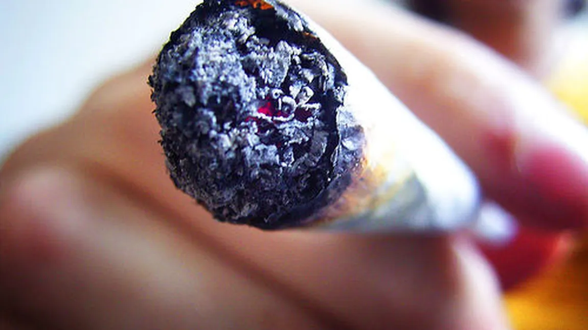 Un deputat polonez vrea să fumeze marijuana în Parlamentul de la Varşovia
