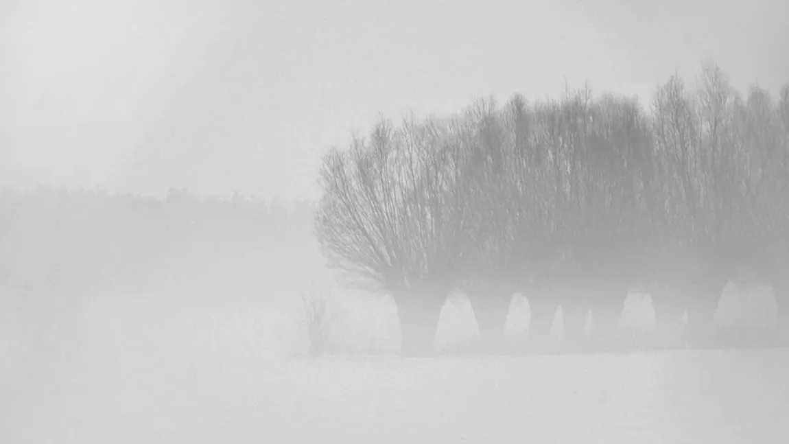 Meteorologii au emis COD GALBEN de ceaţă pentru trei judeţe