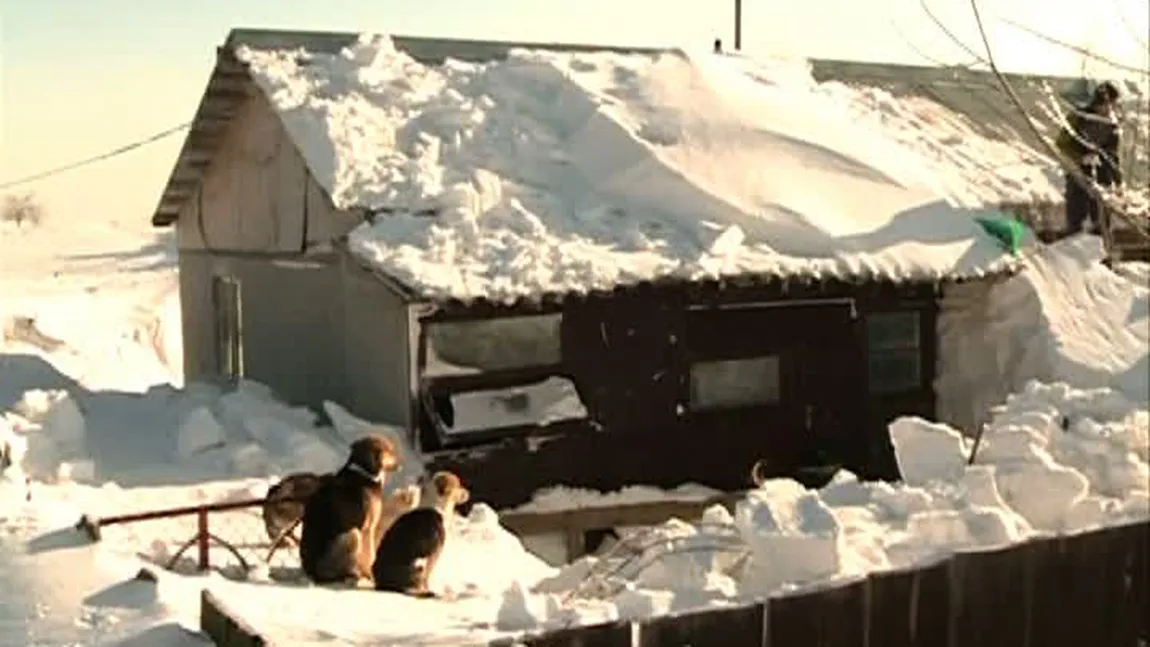 Case îngropate în zăpadă, la doar câţiva kilometri distanţă de Bucureşti VIDEO
