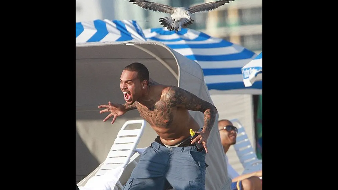 Chris Brown, protagonistul unei scene demne de 