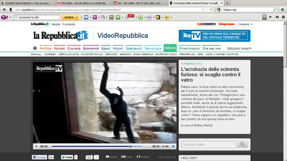 Atacul maimuţelor. Un bărbat este salvat de geam de un animal furios VIDEO