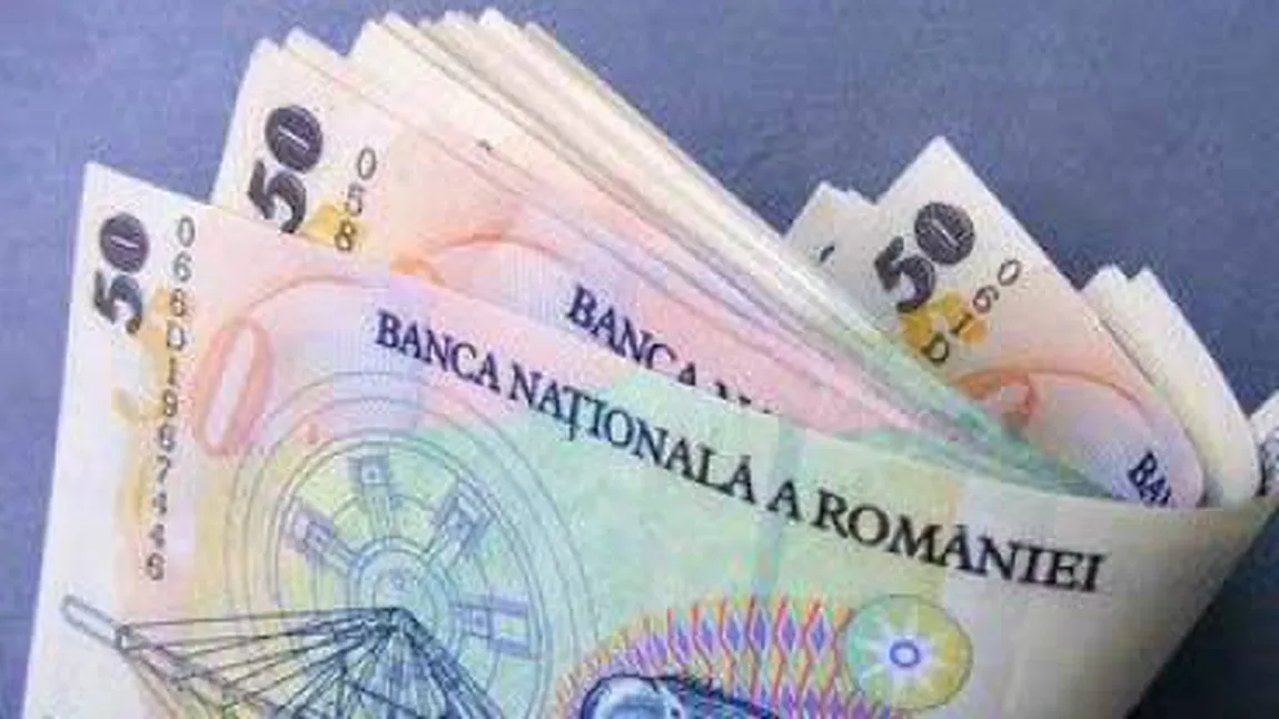 Ungureanu: Evaziunea nu se rezolvă atacând mica taxare, cu inspectori care răvăşesc florile în piaţă