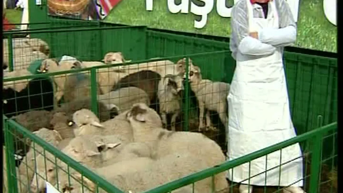 Miei mai mici de Paşte, din cauza frigului