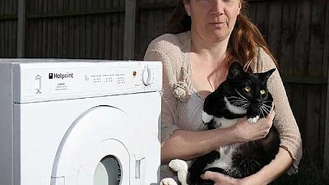O pisică a supravieţuit la un ciclu de 40 de minute, la 40 de grade, în uscătorul de rufe