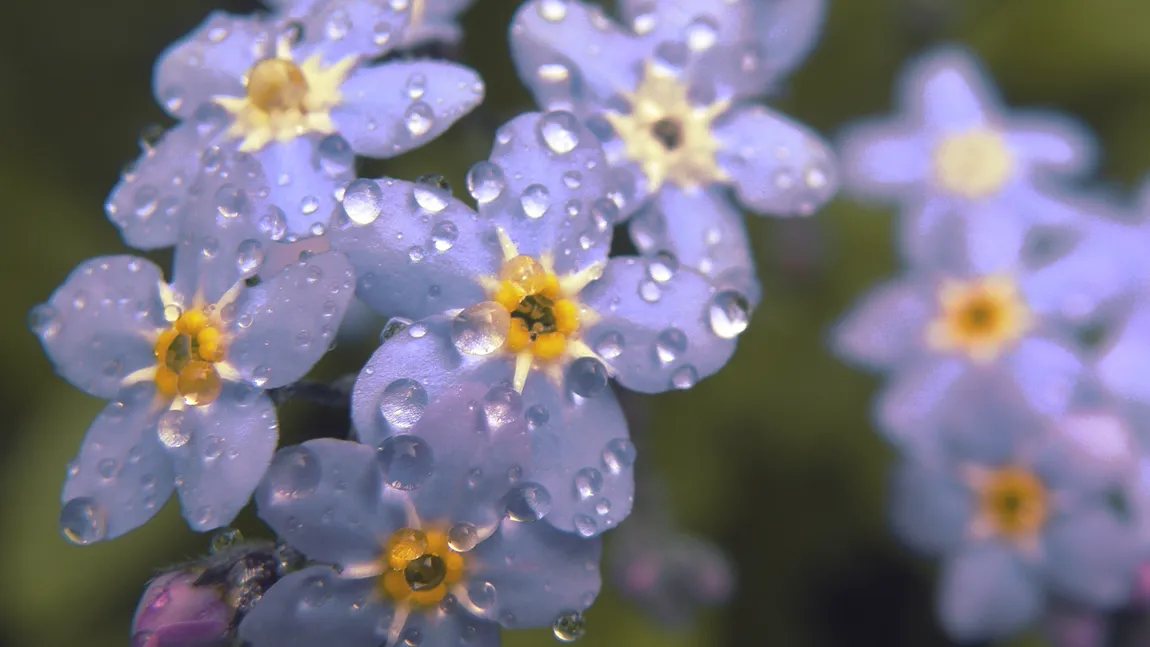 Vremea se răceşte în toată ţara VEZI PROGNOZA METEO PE TREI ZILE