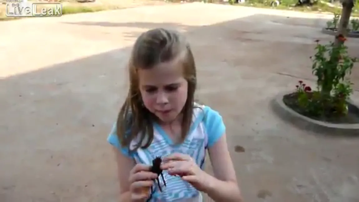 Cu câtă poftă mânâncă TARANTULA fetiţa din Cambodgia! VIDEO