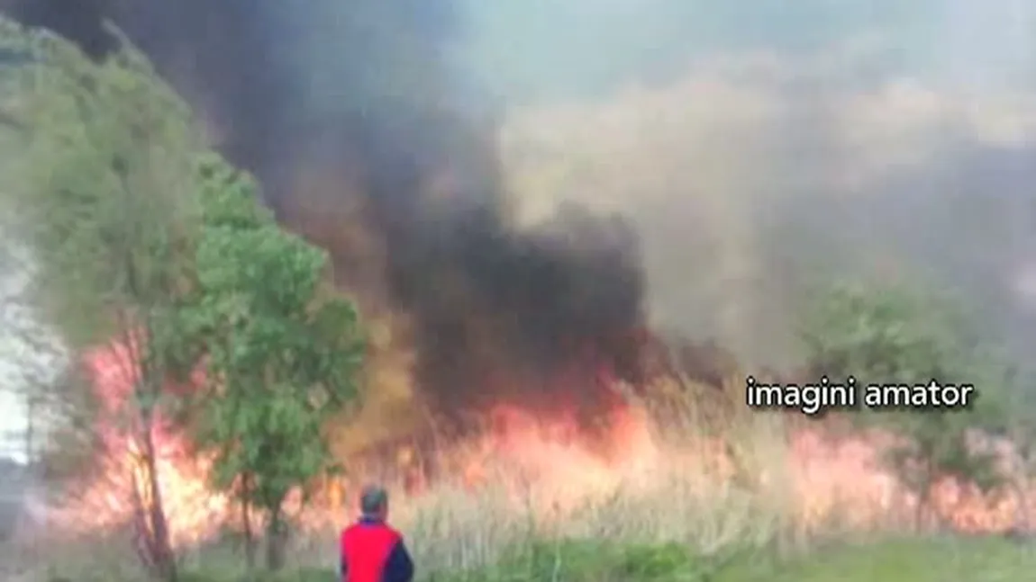 Incendiu puternic lângă Capitală. Au ars 4.000 de metri pătraţi de stufăriş VIDEO