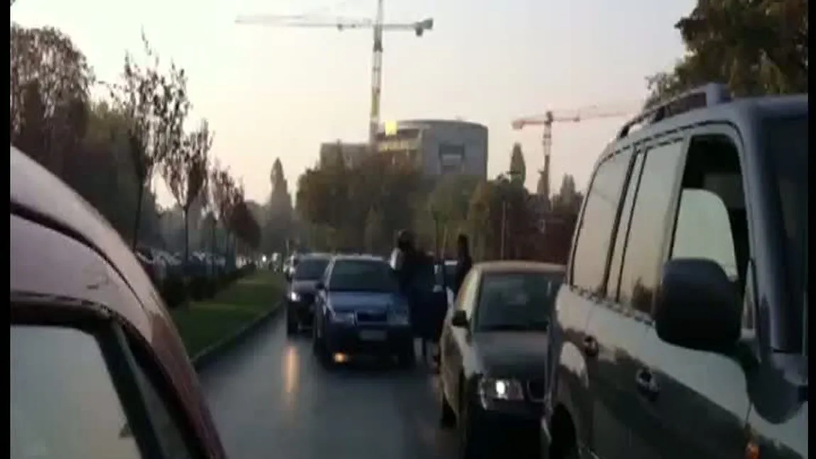 Sofer bătut cu bestialitate în trafic VIDEO