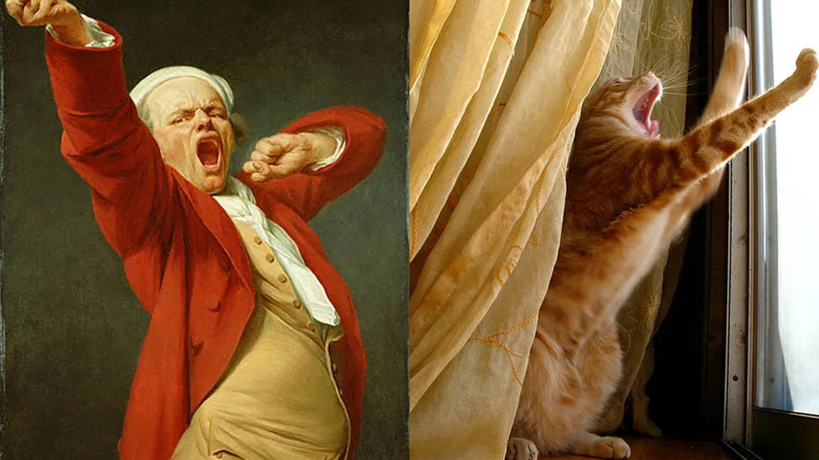 Pisicile şi istoria artei. 10 feline care imită operele unor pictori celebri GALERIE FOTO