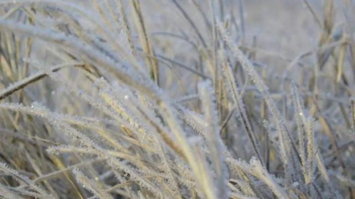 PROGNOZA METEO NOIEMBRIE. Lapoviţa şi ninsoarea anunţă venirea iernii