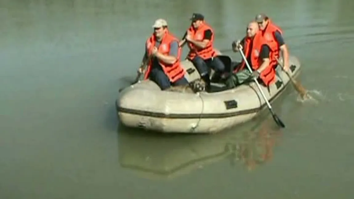 Un căţel, salvat de pompierii din Suceava, de pe pilonii unui pod VIDEO