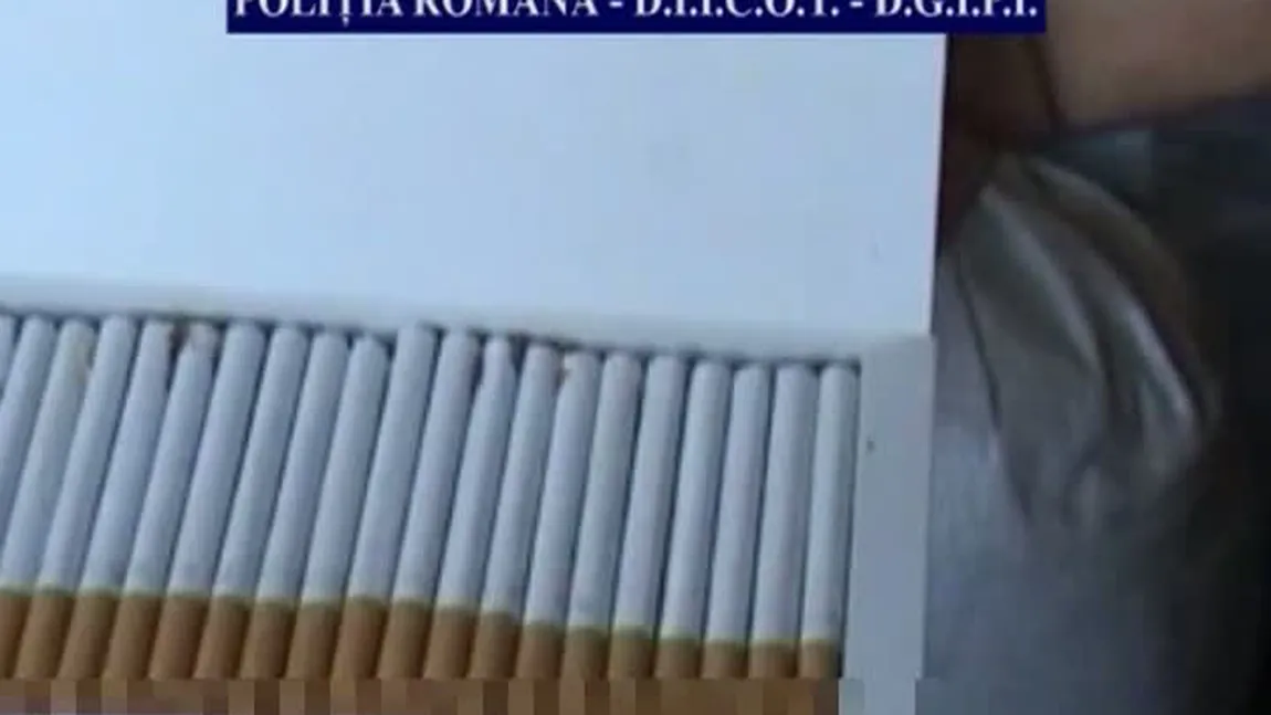 Descinderi la reţea de contrabandă cu ţigări, în judeţele Buzău şi Prahova