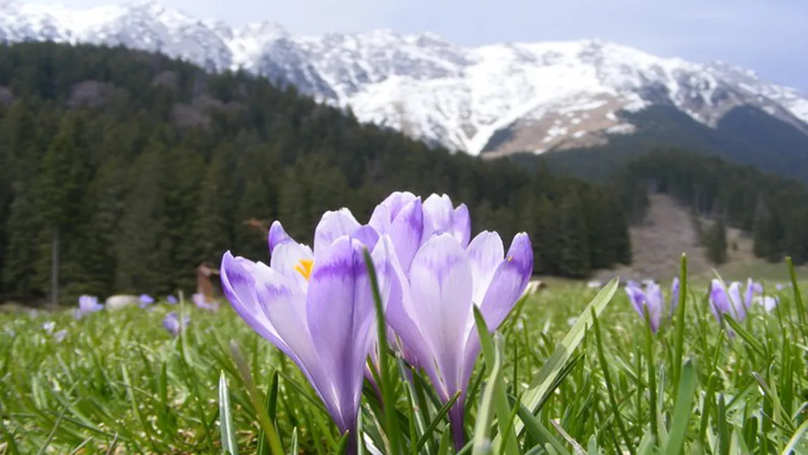 Ariile naturale protejate din România vor fi monitorizate din spaţiu