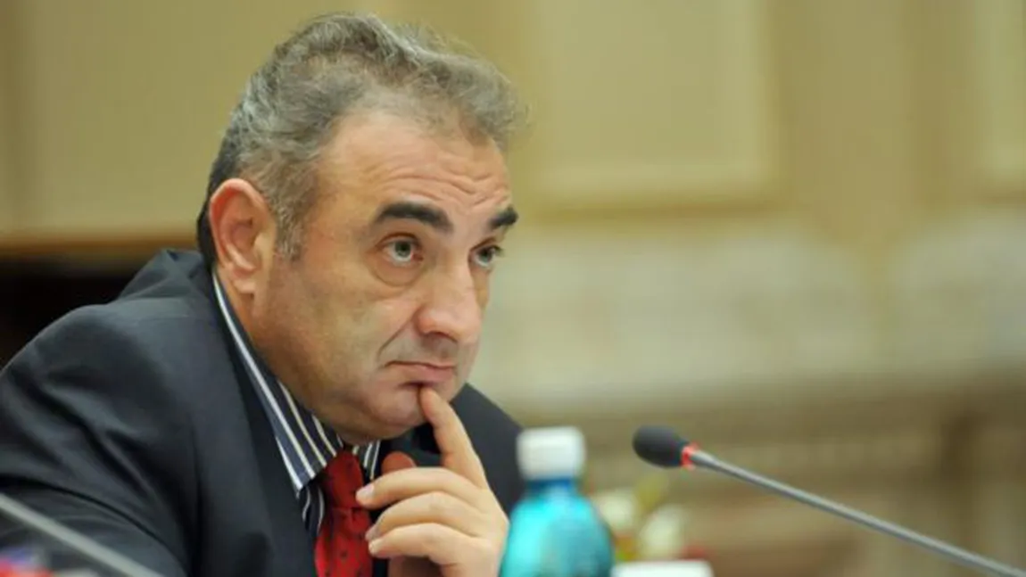 Florin Georgescu: Adoptarea euro va fi decisă după alegeri