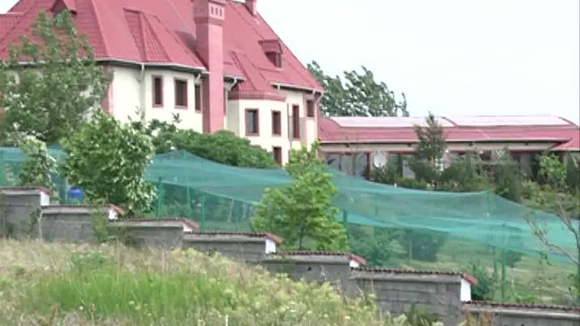 Crin Halaicu are palat de cinci milioane de euro, la Mogoşoaia VIDEO