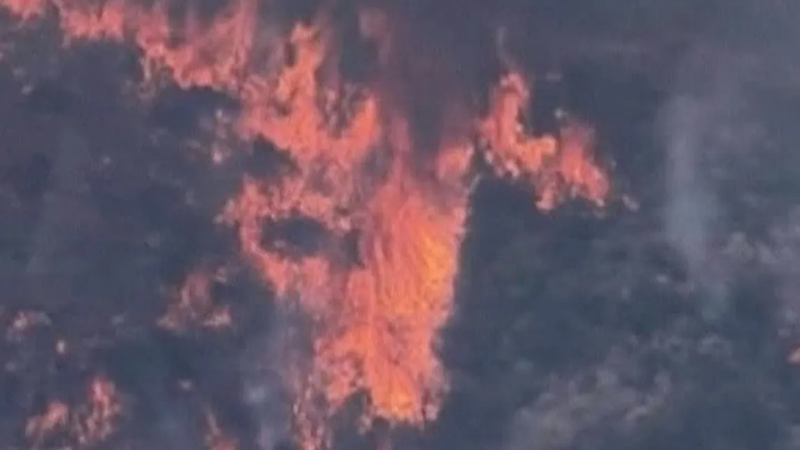 Incendiu devastator în Arizona. 1.000 de hectare de vegetaţie, distruse VIDEO